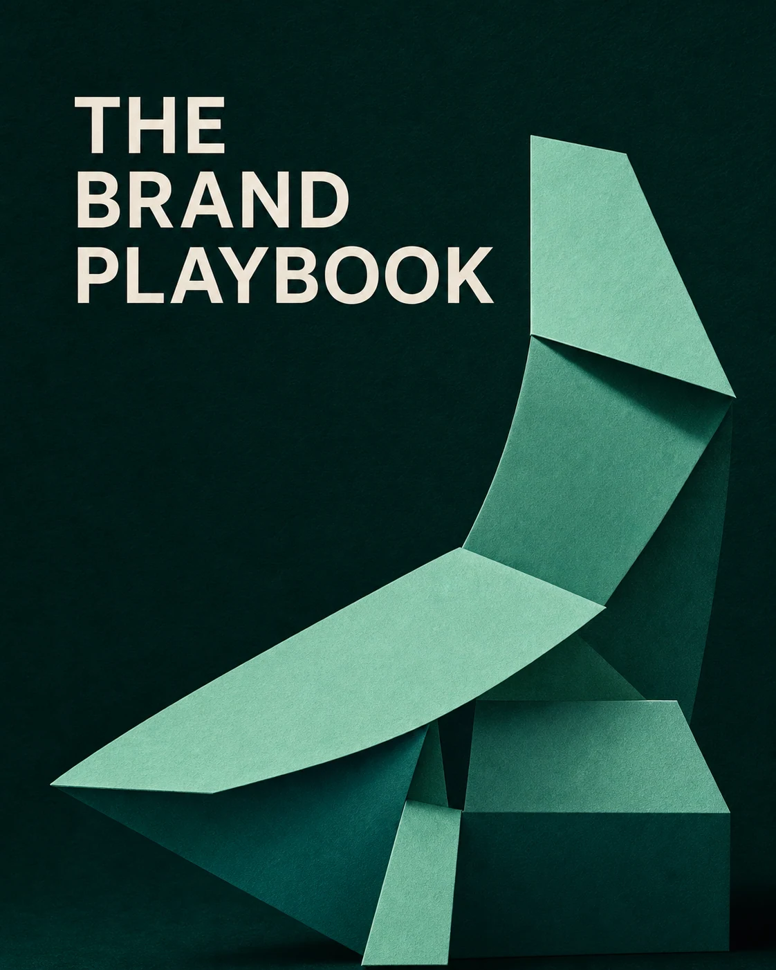 A finished brand playbook cover and campaign direction